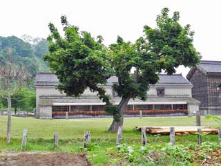 クリックすると拡大写真が表示(600x450)されます