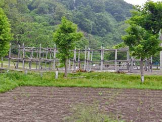 クリックすると拡大写真が表示(600x450)されます