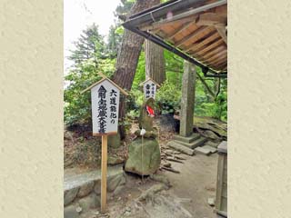 クリックすると拡大写真(450x600)が表示されます