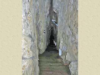 クリックすると拡大写真(450x600)が表示されます