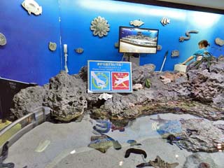 クリックすると水槽横の案内板(600x450)が表示されます