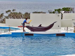 クリックすると拡大写真(600x450)が表示されます