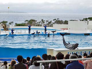 クリックすると拡大写真(600x450)が表示されます