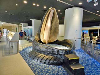 クリックすると拡大写真(600x450)が表示されます