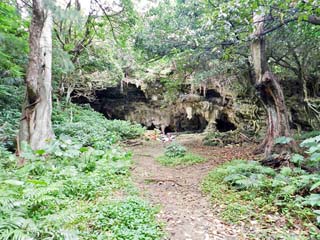 クリックすると拡大写真(600x450)が表示されます