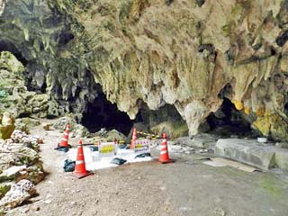 クリックすると拡大写真(600x450)が表示されます