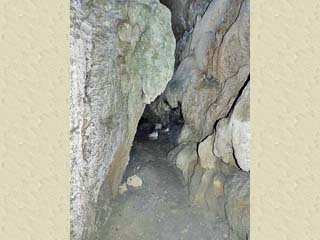 クリックすると拡大写真(450x600)が表示されます