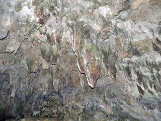 クリックすると拡大写真(600x450)が表示されます