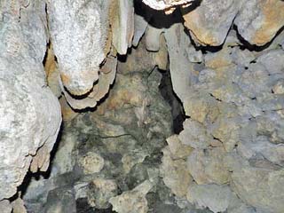 クリックすると拡大写真(600x450)が表示されます