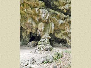 クリックすると拡大写真(450x600)が表示されます